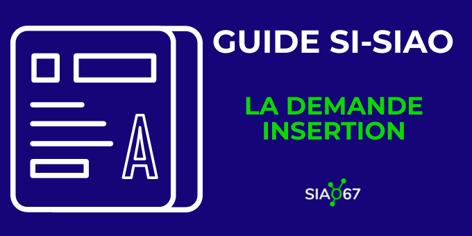 You are currently viewing Tutoriel vidéo Si-SIAO : La demande insertion