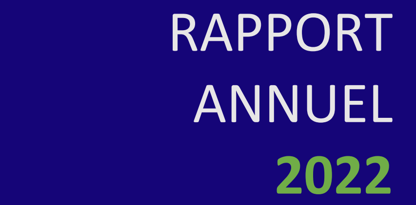You are currently viewing Rapport annuel SIAO 2022